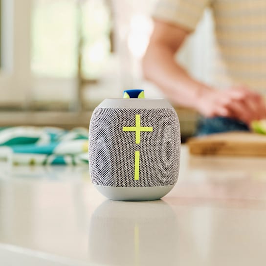 Wonderboom 4